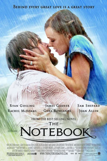 Постер фильма «Дневник памяти» (2004)